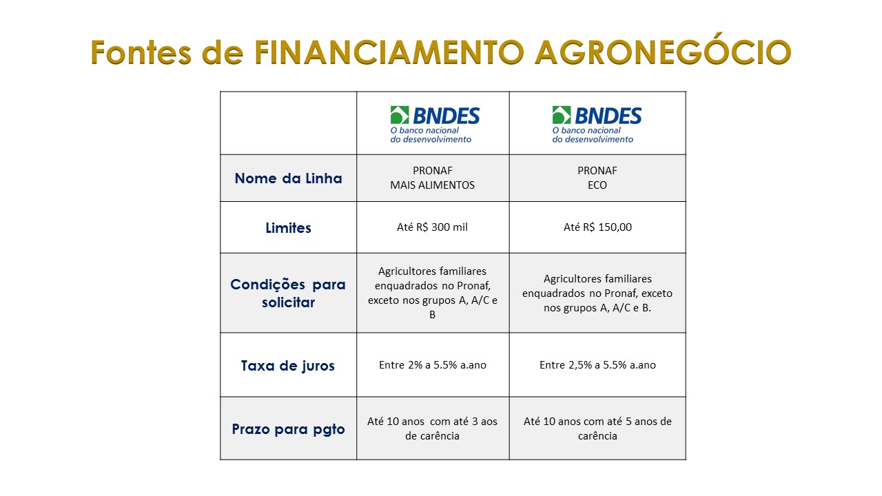 Slide4
